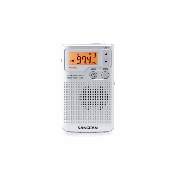 DT-250 디지털 휴대용 라디오