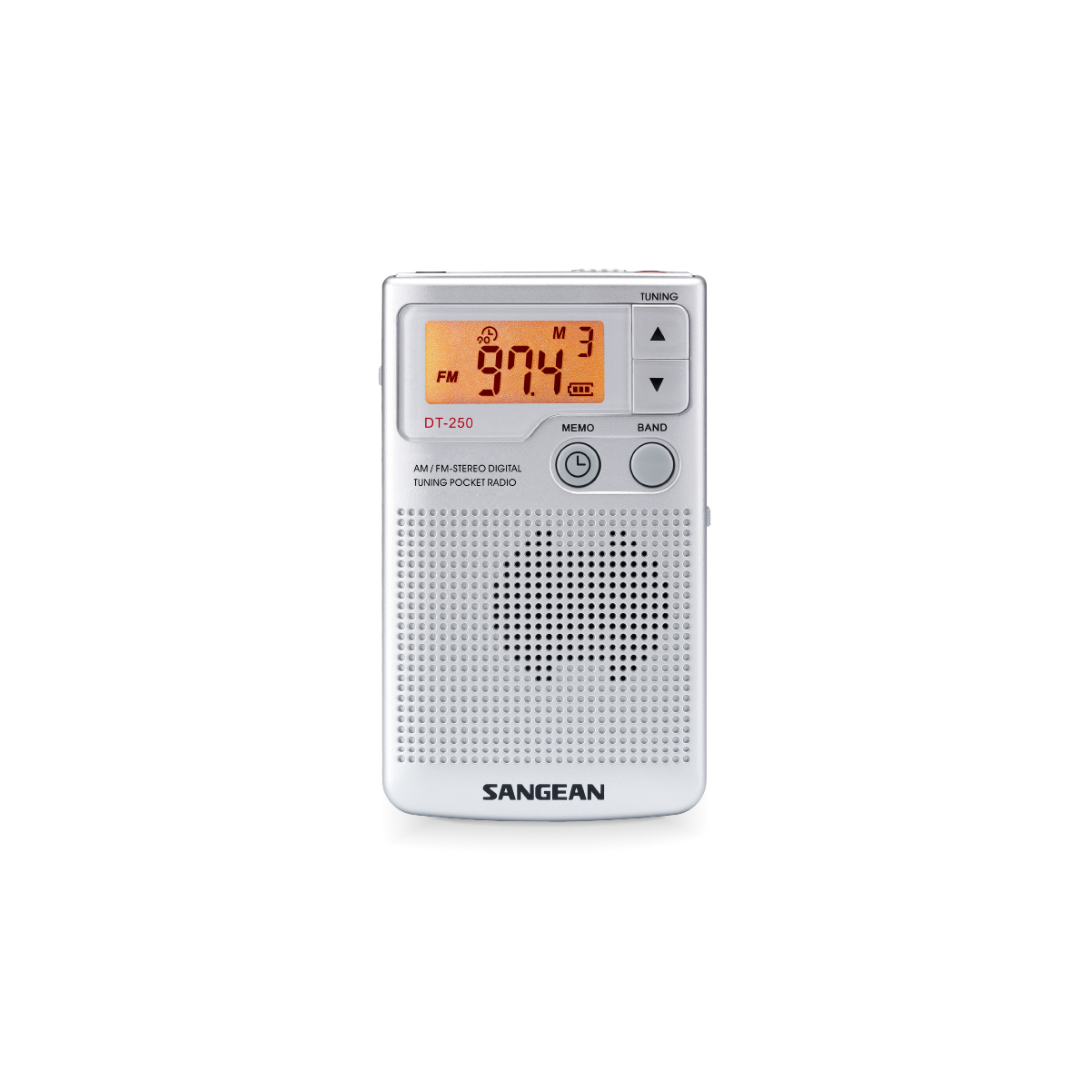 DT-250 디지털 휴대용 라디오