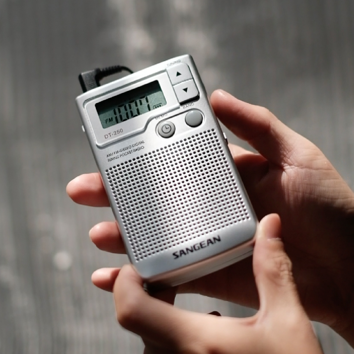 DT-250 디지털 휴대용 라디오